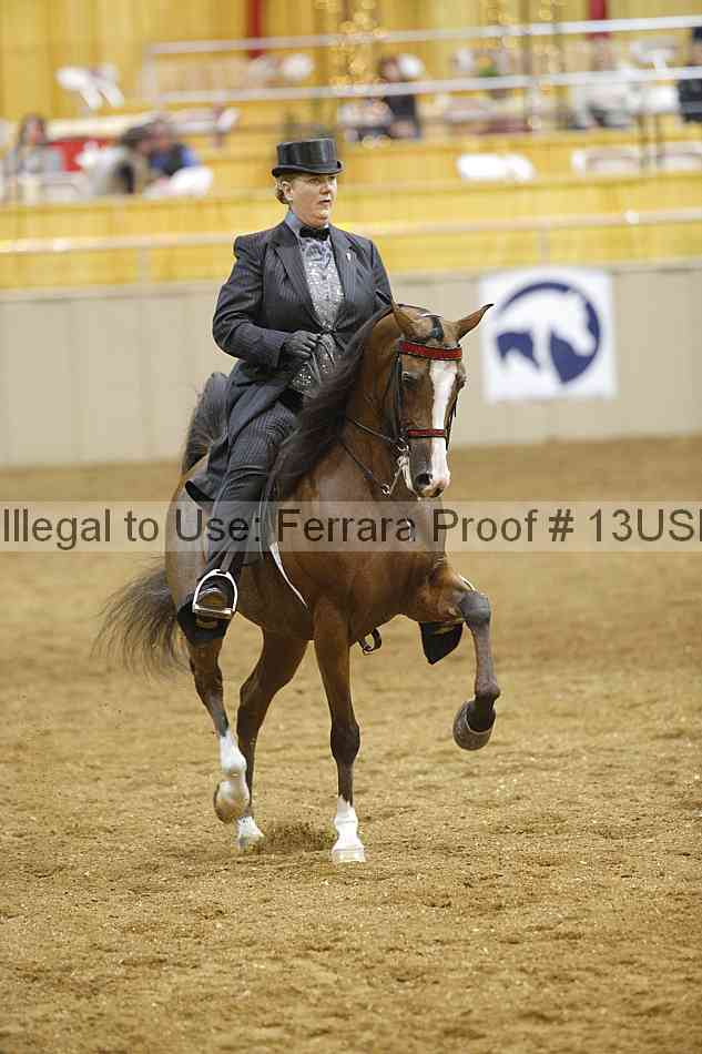 Proof 13usn_04958