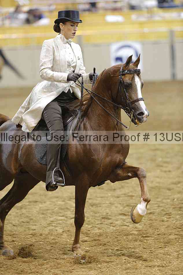Proof 13usn_04960