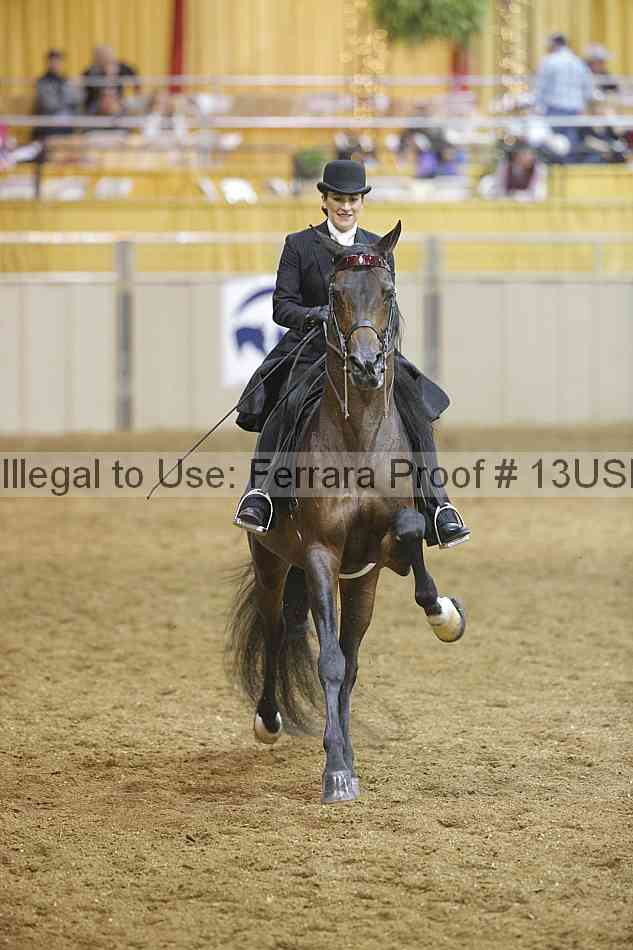 Proof 13usn_04972