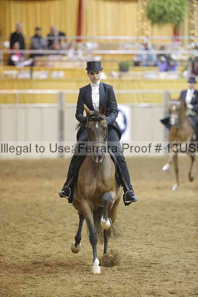 Proof 13usn_04974