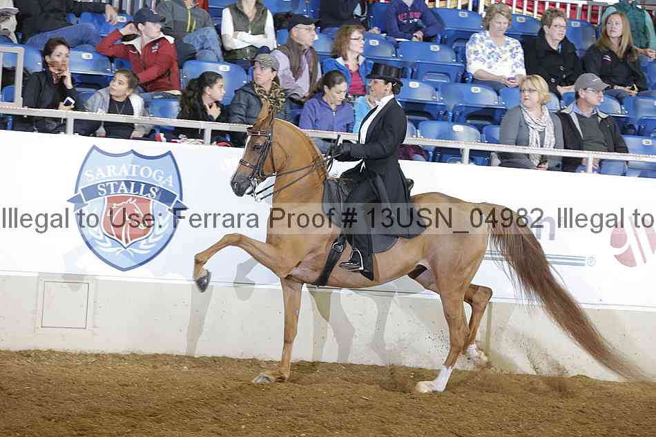 Proof 13usn_04982