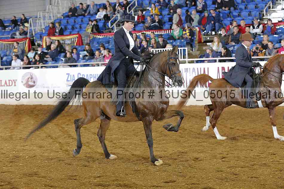 Proof 13usn_05015