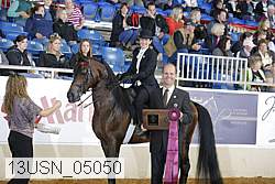 13usn_05050 proof