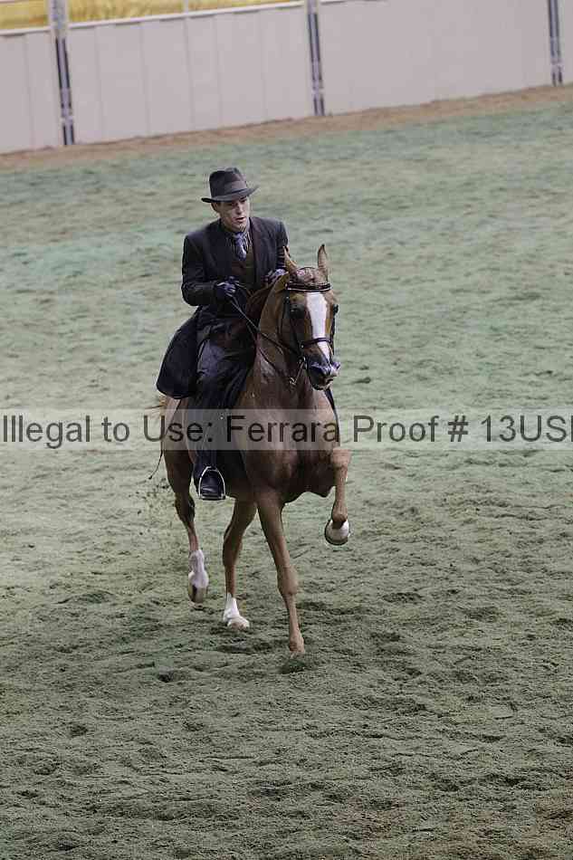 Proof 13usn_35996