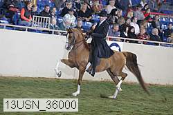 13usn_36000 proof