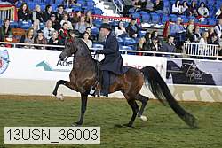 13usn_36003 proof