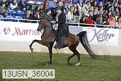 13usn_36004 proof