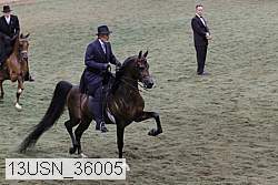 13usn_36005 proof
