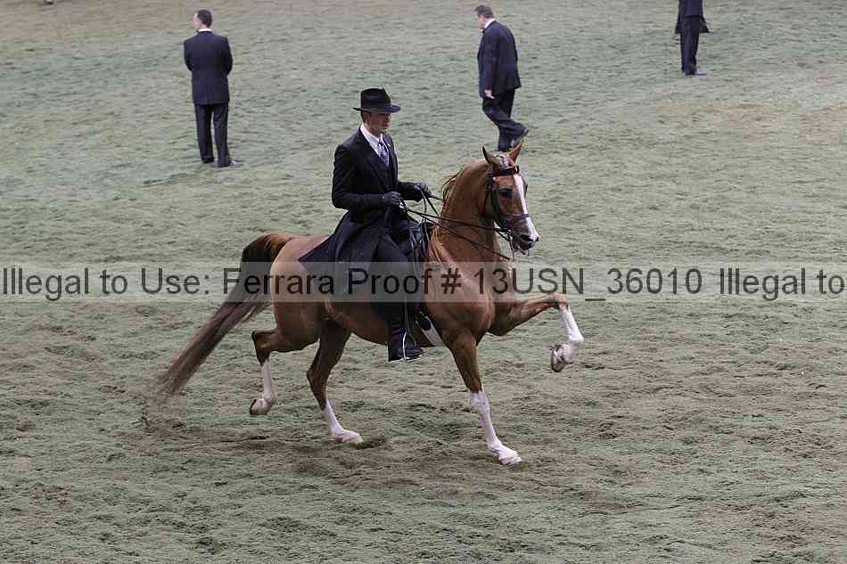 Proof 13usn_36010
