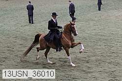 13usn_36010 proof