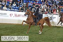 13usn_36011 proof