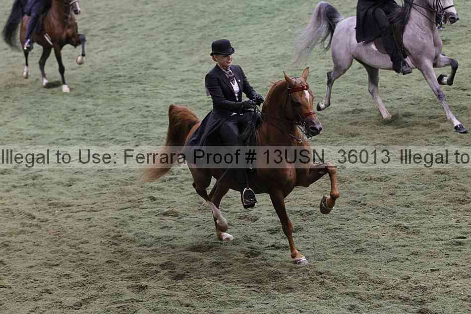 Proof 13usn_36013
