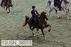13usn_36013 proof