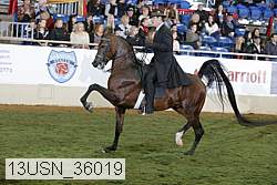 13usn_36019 proof