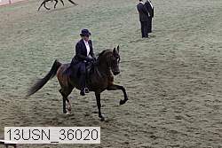 13usn_36020 proof