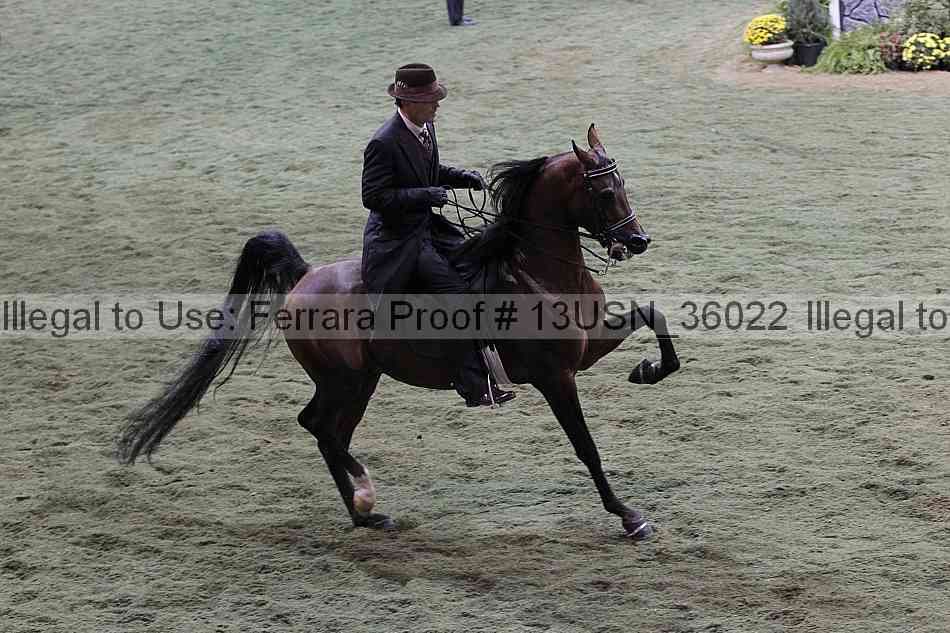 Proof 13usn_36022