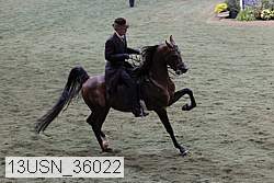 13usn_36022 proof