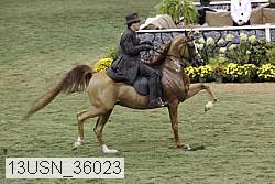13usn_36023 proof