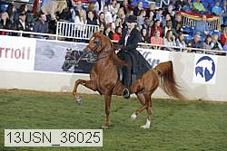 13usn_36025 proof