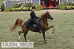 13usn_36026 proof