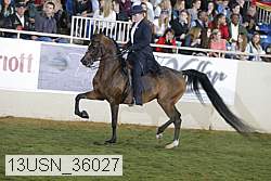 13usn_36027 proof