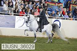 13usn_36029 proof