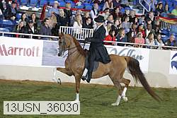 13usn_36030 proof