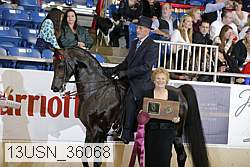 13usn_36068 proof