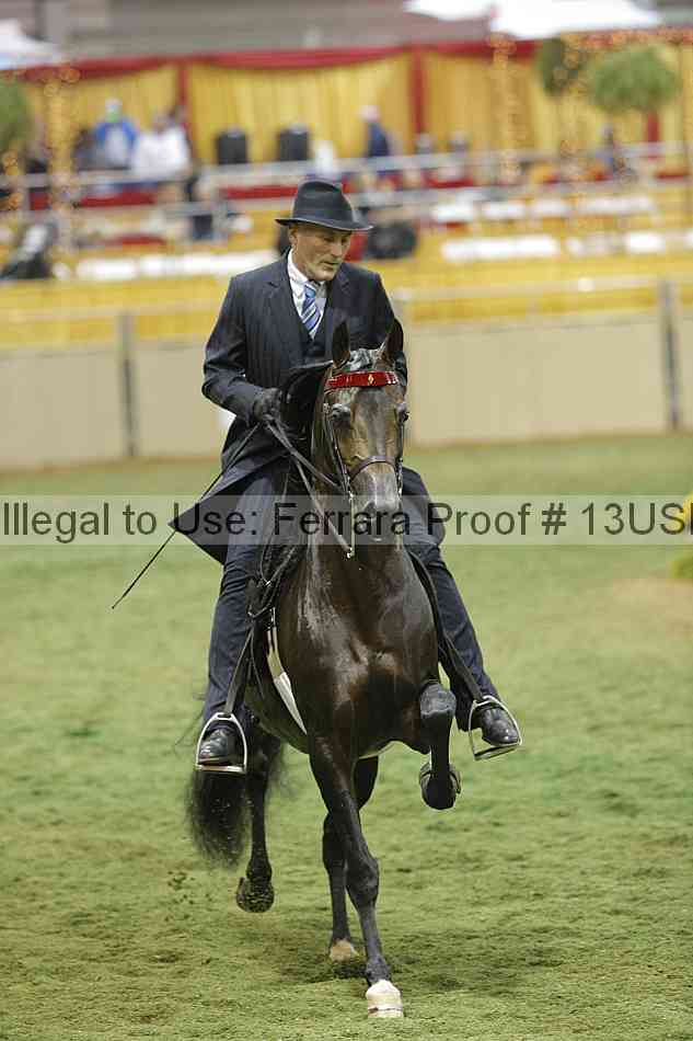 Proof 13usn_36074