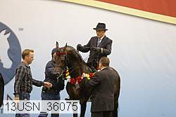 13usn_36075 proof