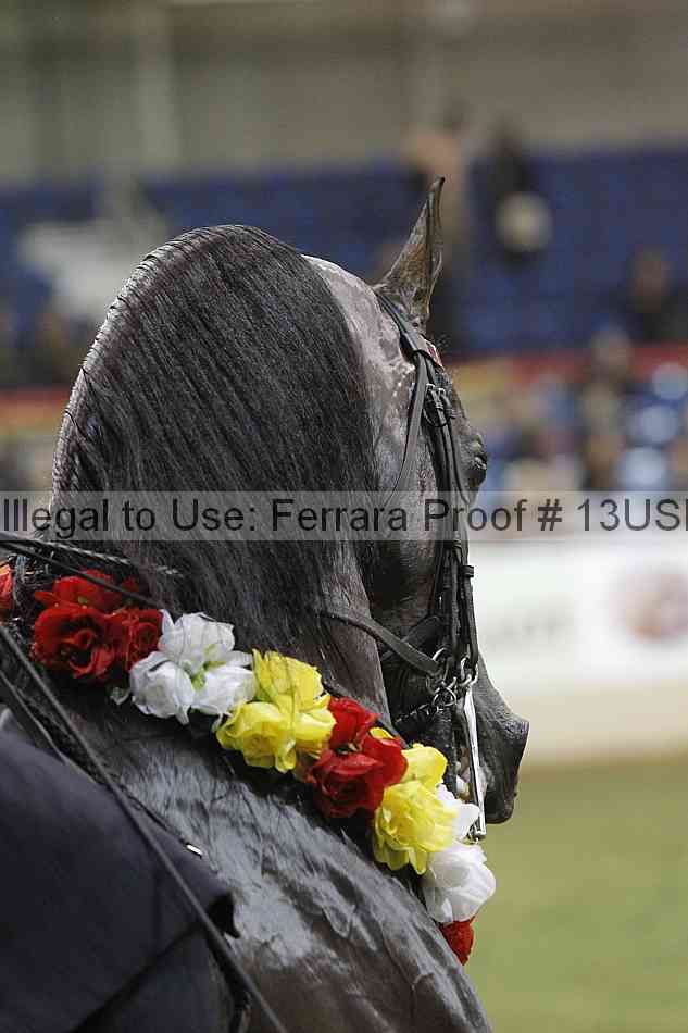Proof 13usn_36129