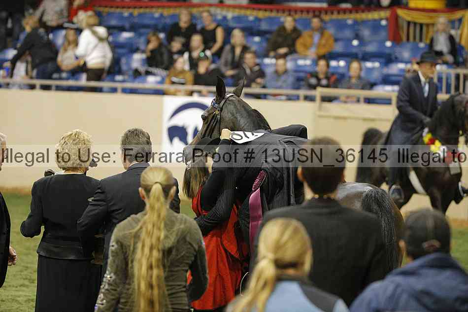 Proof 13usn_36145