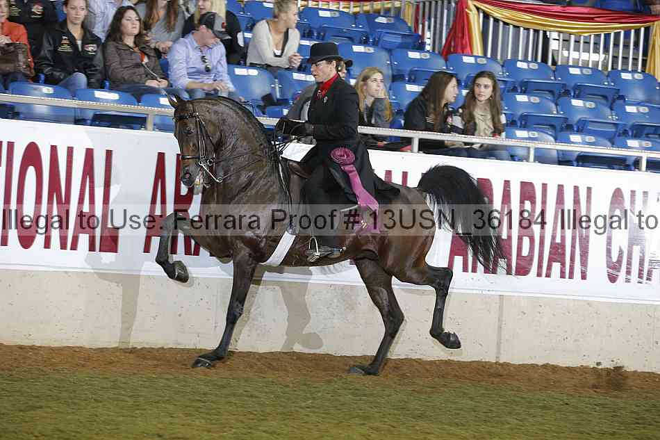Proof 13usn_36184