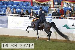 13usn_36213 proof