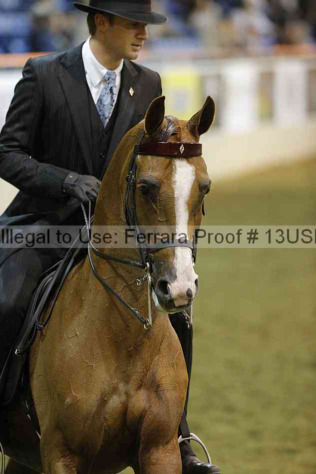 Proof 13usn_36214