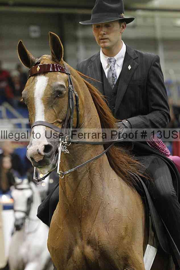 Proof 13usn_36218