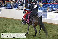 13usn_36246 proof