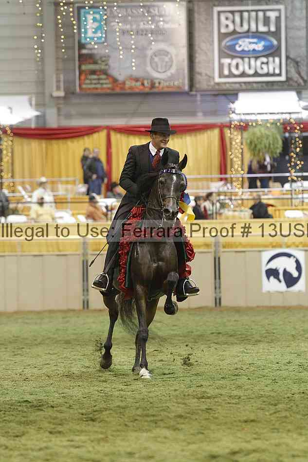 Proof 13usn_36249