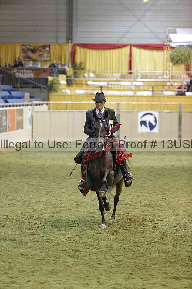 Proof 13usn_36257