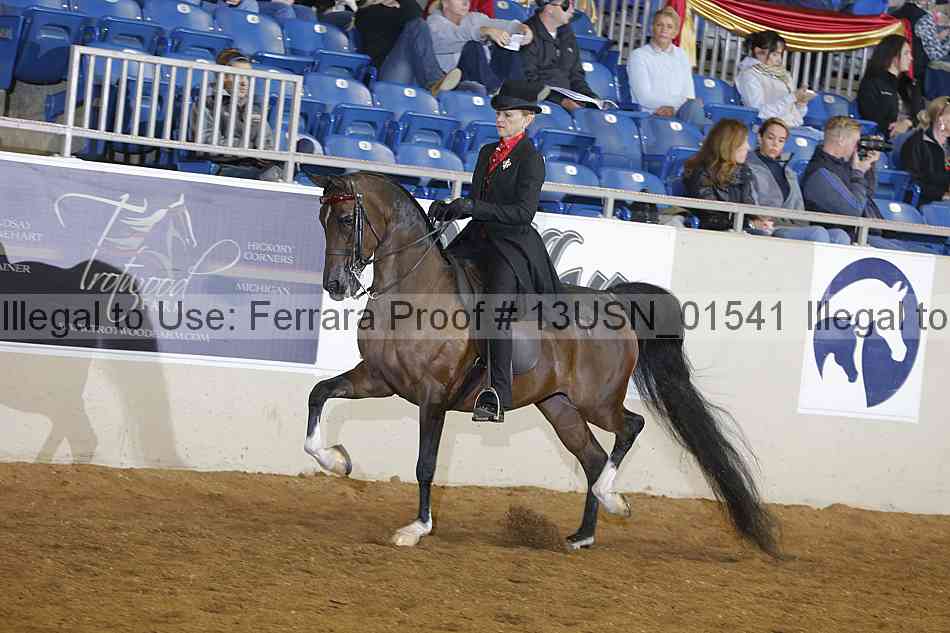 Proof 13usn_01541