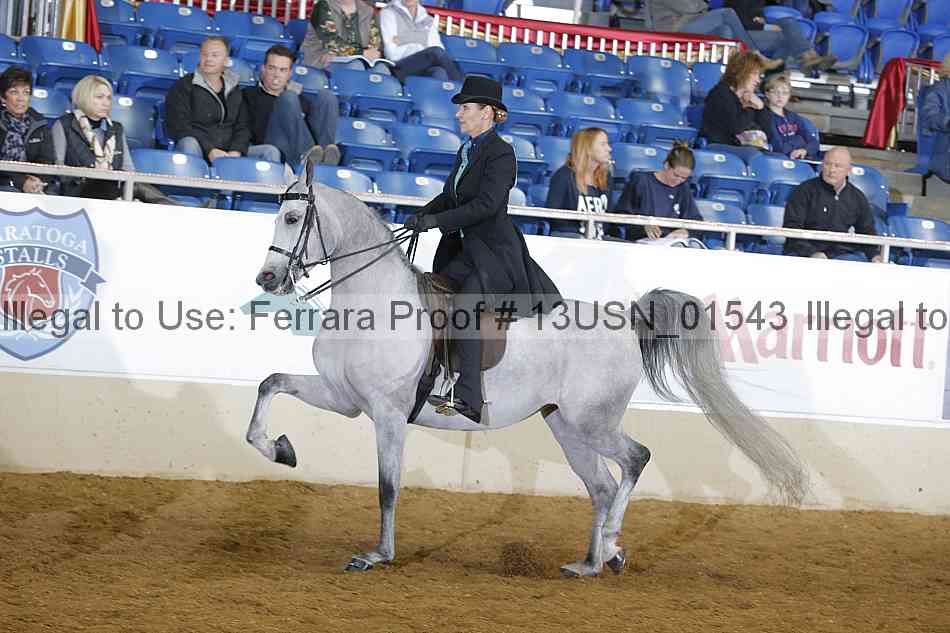 Proof 13usn_01543