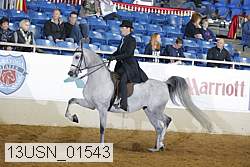13usn_01543 proof
