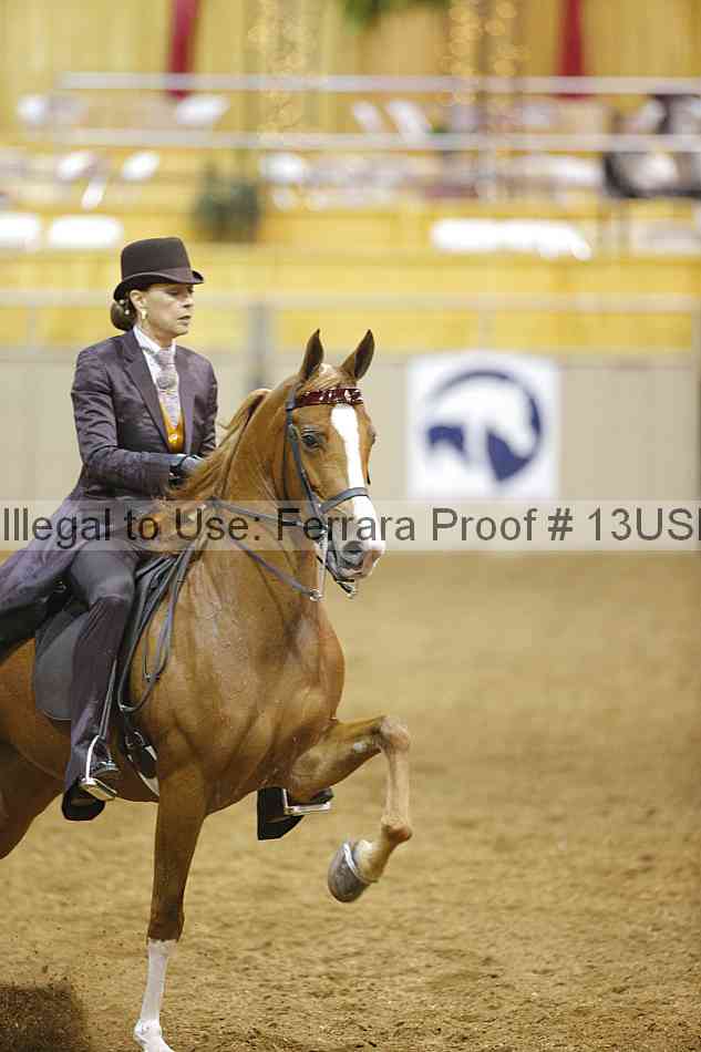 Proof 13usn_01553