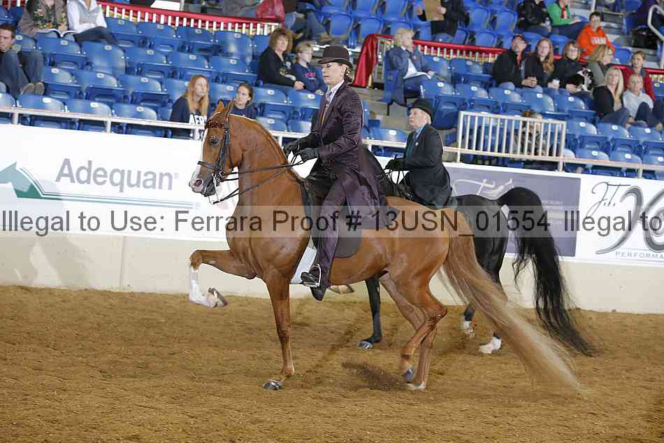 Proof 13usn_01554