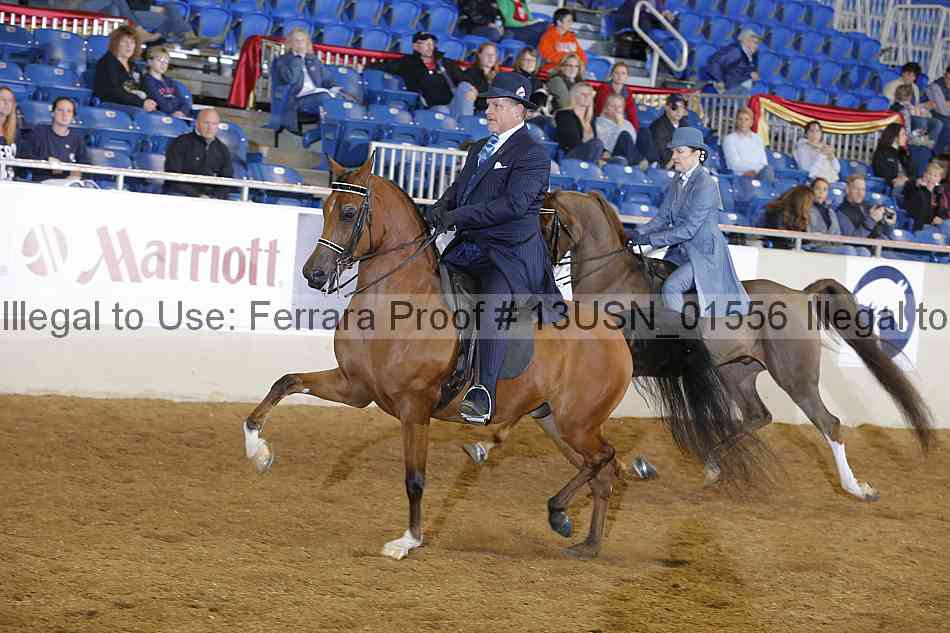 Proof 13usn_01556