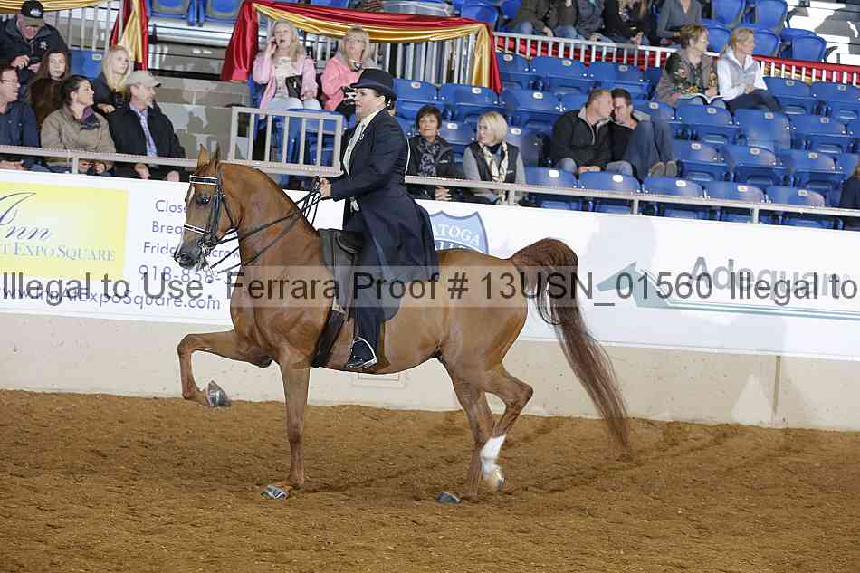 Proof 13usn_01560