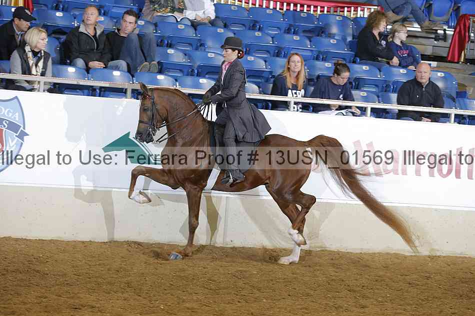 Proof 13usn_01569