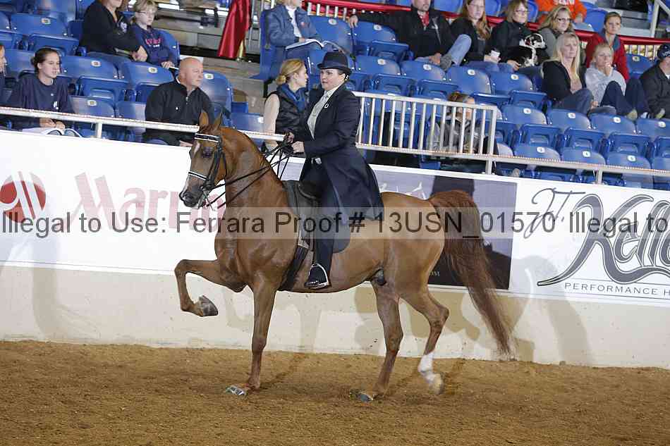Proof 13usn_01570