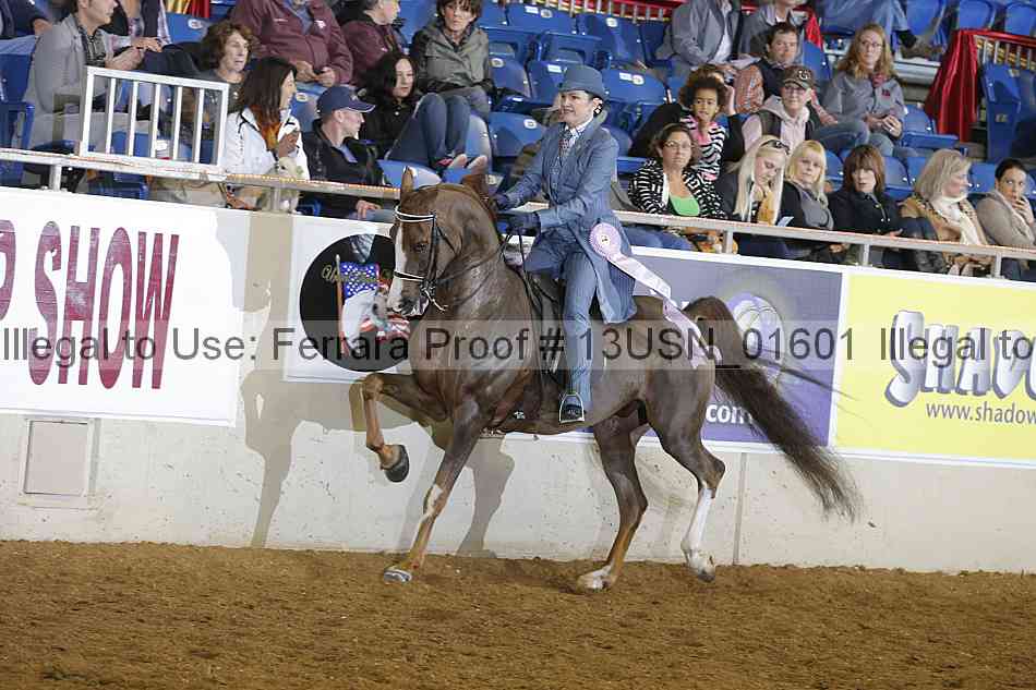 Proof 13usn_01601