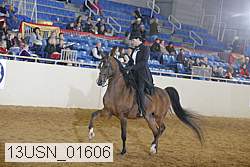 13usn_01606 proof